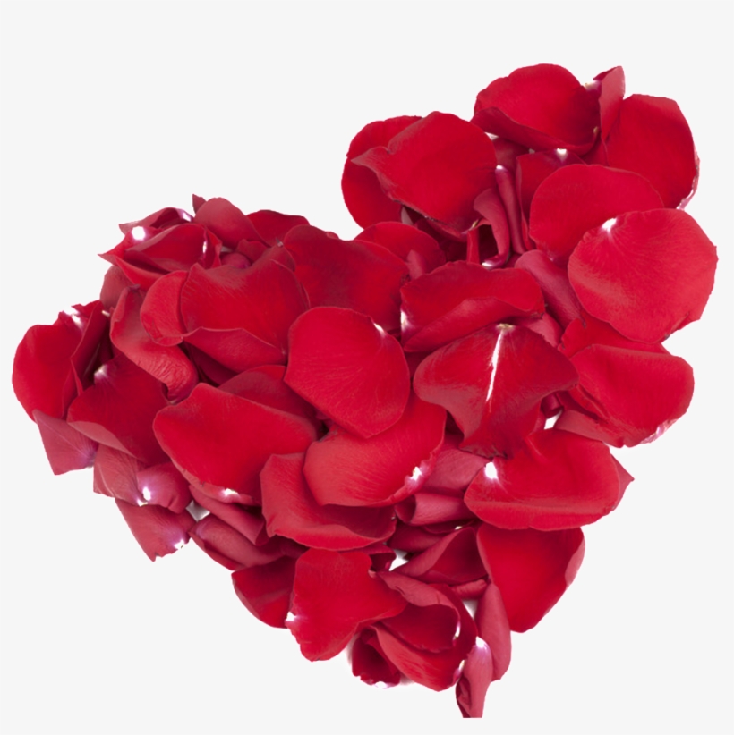 This Graphics Is Rose Petals Red Love Design About - Corazon Petalos De Rosa Png, transparent png
