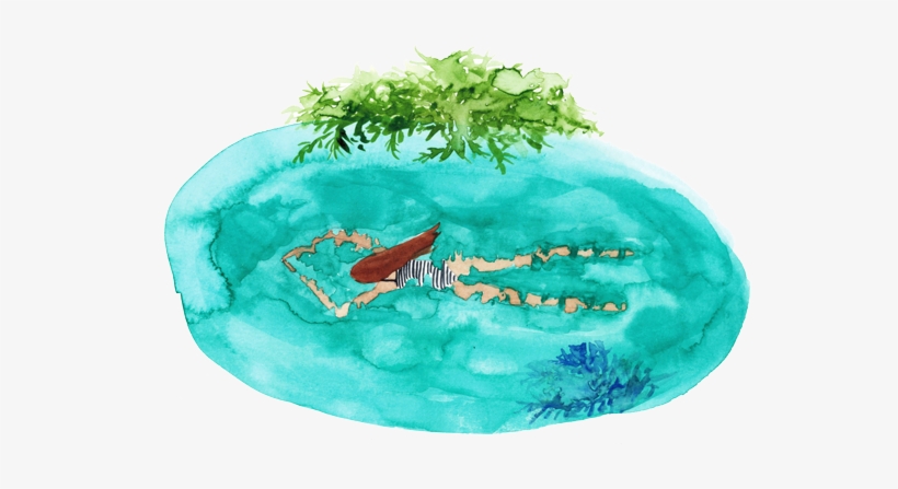 Beach-swimming - Beach, transparent png