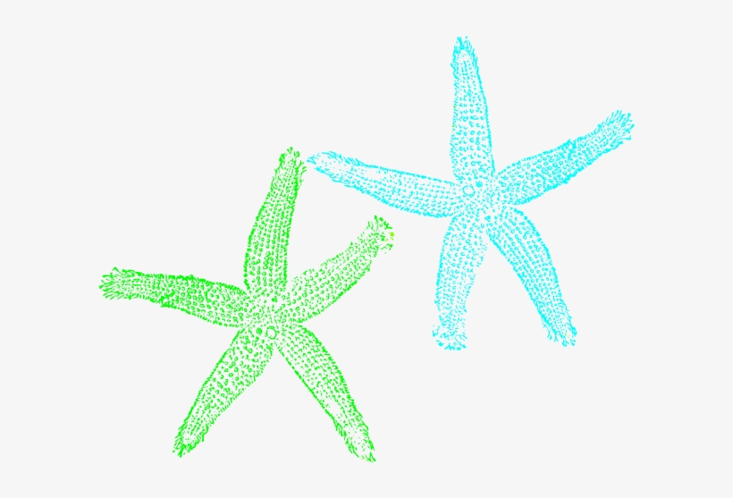 Turquoise And Lime Green Starfish Png Svg Clip Art, transparent png