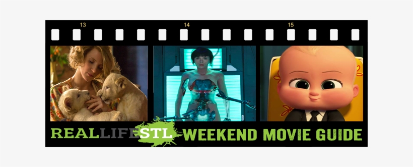 Ghost In The Shell, Boss Baby And Zookeeper's Wife - Jessica Chastain Signed - Autographed The Zookeeper's, transparent png