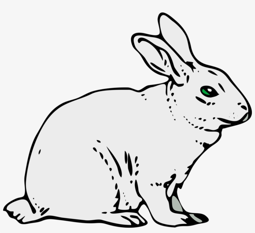 How To Set Use Gray Rabbit Svg Vector, transparent png