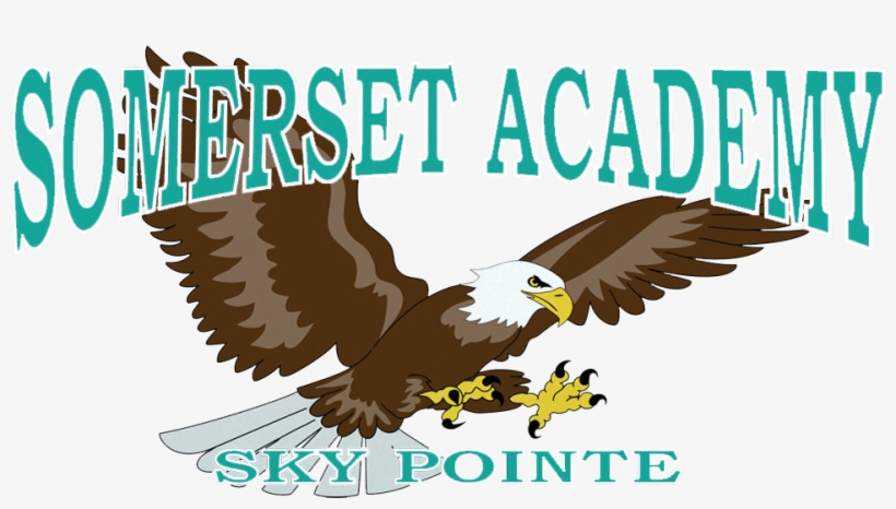 Eagle Bg - Bald Eagle, transparent png