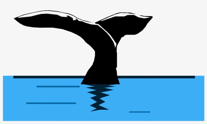 Cropped Tpeci Whale, transparent png