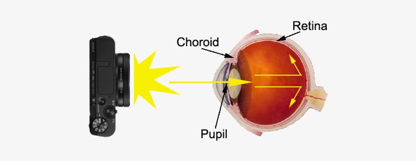 How People Get Red Eyes - Sony Dscrx100m5 Digital Still Camera, transparent png
