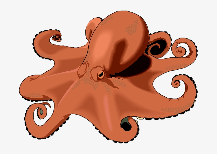 Octopus Png Transparent Free Images - Octopus Clip Arts Transparent, transparent png