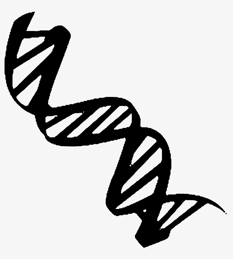 Dna Emblem Bo - Thyroid, transparent png