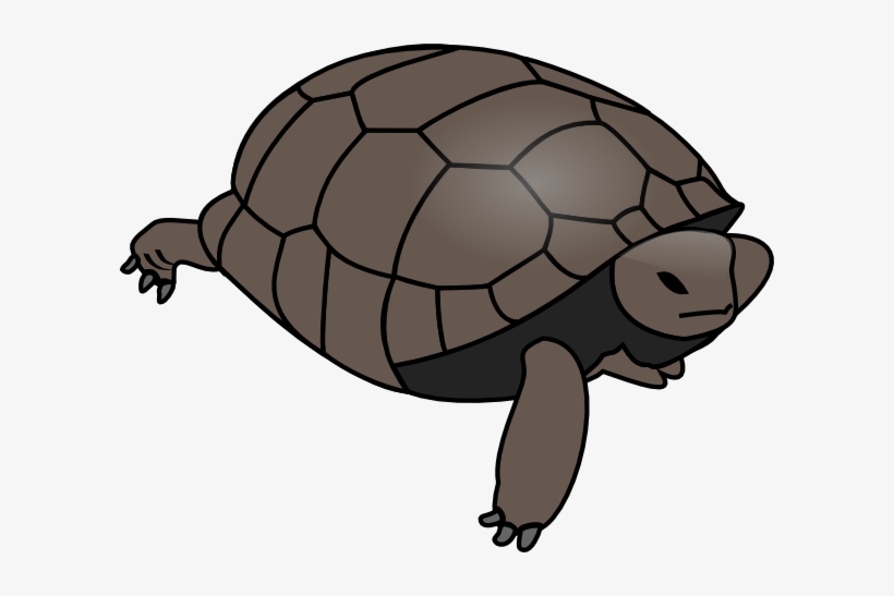 Swimming Turtle Png Images, transparent png