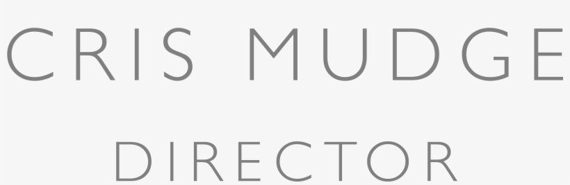 Having Directed Many Varied Projects And A Wide Range - Calligraphy, transparent png