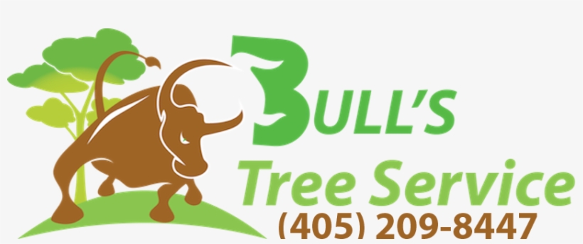 Tree Service Oklahoma City - Oklahoma, transparent png