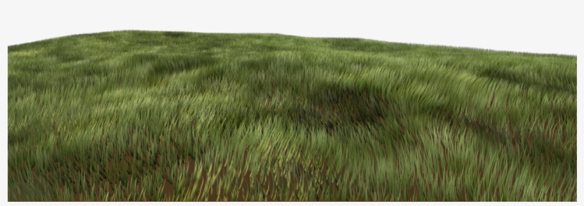 Testcomposite Trees Grass - Grass Concept Art Png, transparent png