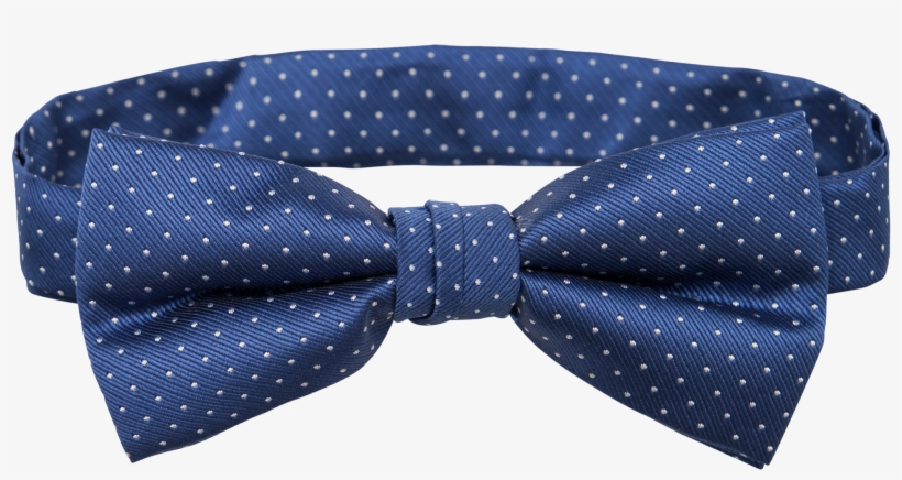 Tarocash Bow Tie Spot, transparent png