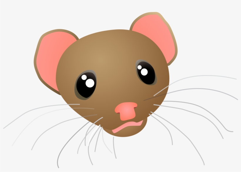 Open - Weasel Head Cartoon, transparent png