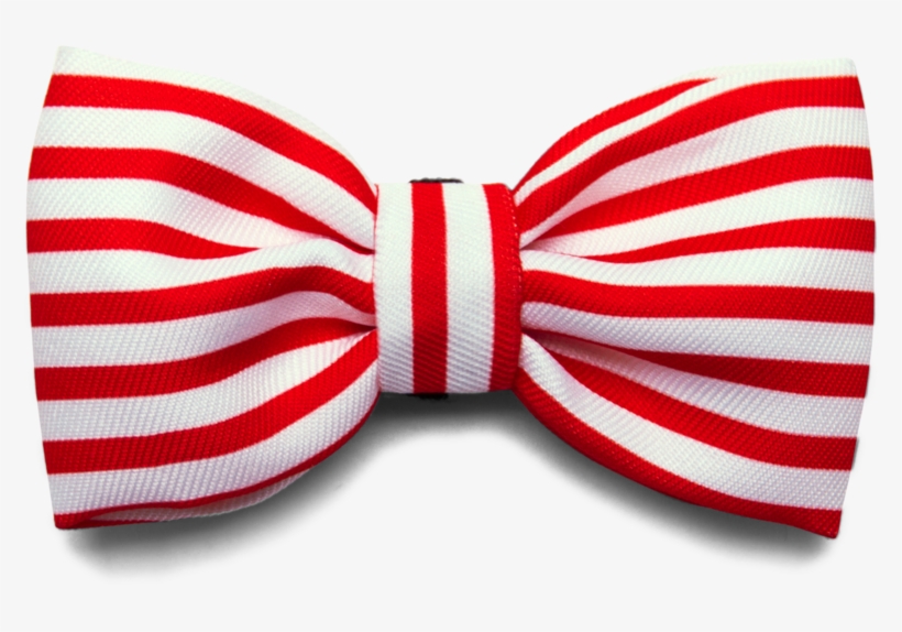 Bali The Dog Zeedog Cadillac Bow Tie For Those James - Transparent Flag Bow Tie, transparent png
