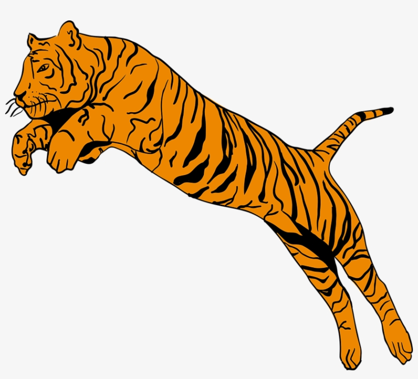 Free Jumping Tiger Png - Tiger Jump Clipart Png, transparent png
