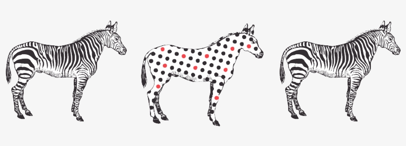 Zebra - Brand, transparent png