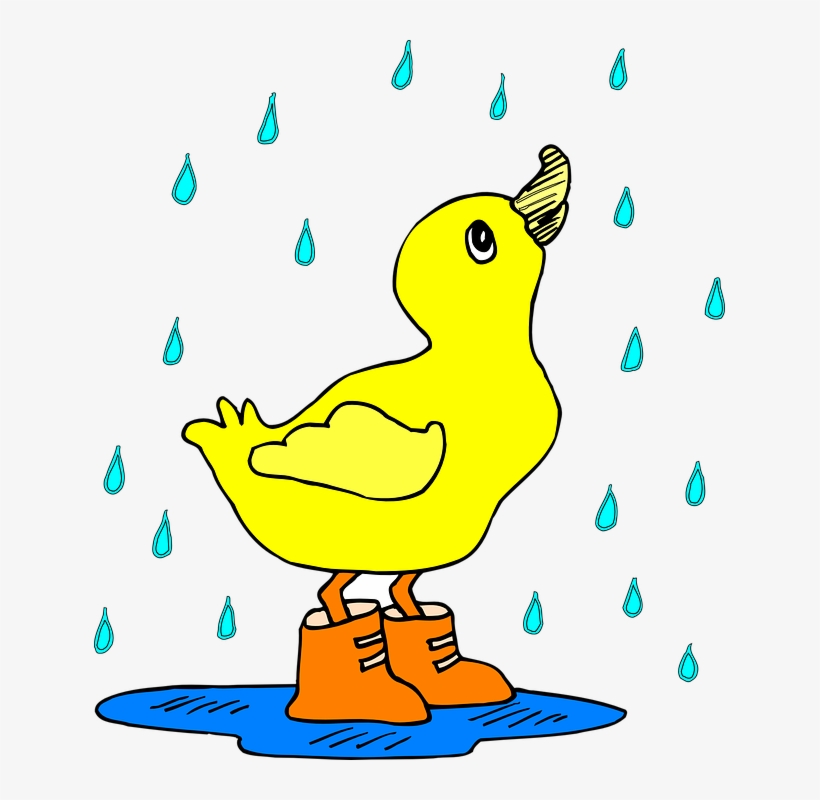 Having Some Rain Can Greatly Effect Your Day - Ducky In The Rain, transparent png