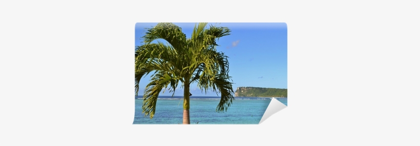 Sea, transparent png