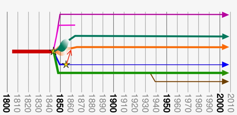 Open - Timelines Branch, transparent png