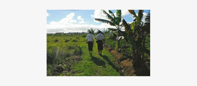 The Church Of Jesus Christ Of Latter-day Saints In, transparent png