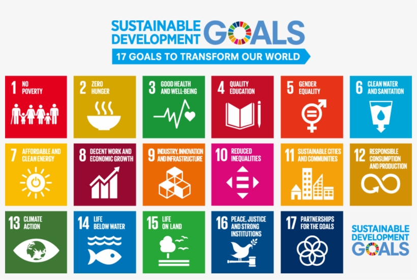 Conscious Of The Philosophy Of The Sdgs, The Kyocera - Un Sustainable Development Goals, transparent png
