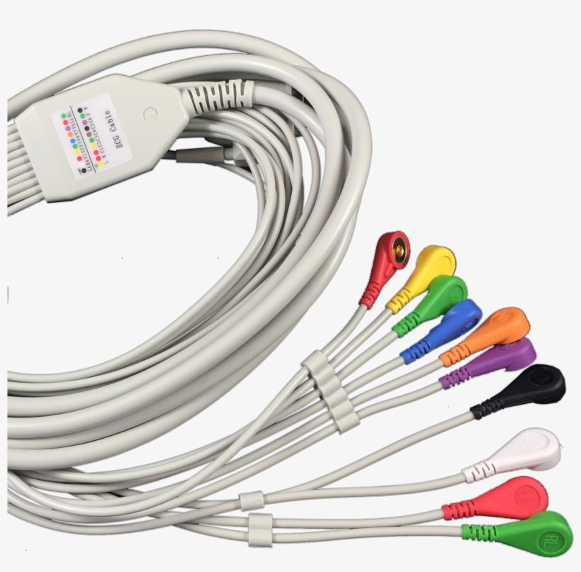 Electric Cable Download Png Image - Ethernet Cable, transparent png
