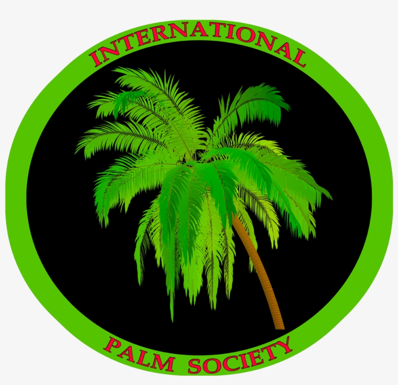 Black1280-2 - Watercolor Painting, transparent png