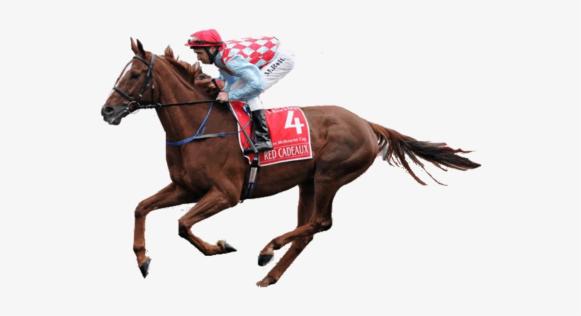 The Mighty Red Cadeaux - Racing Horse Transparent, transparent png