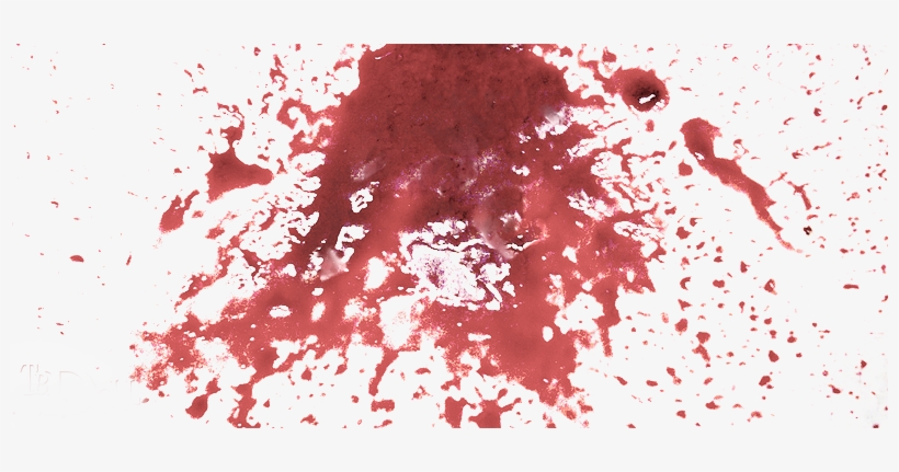 Blood Splatter - Rome Statute Of The International Criminal Court [book], transparent png