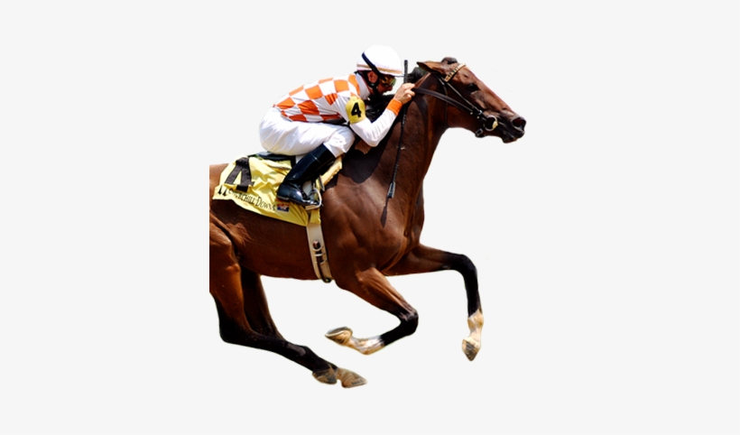If You're Looking To Become A Successful Horse Racing - Beginner's Guide To Horse Racing And Wagering, transparent png
