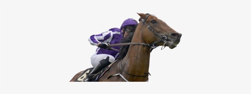 Dartmouth Horse Racing Action Shot - Horse Racing, transparent png