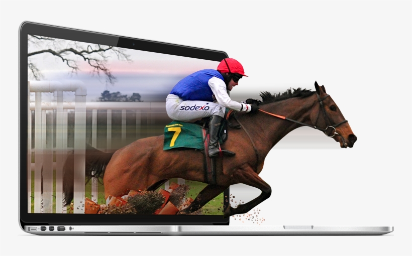 Fidelity It Race Horse - Wordpress, transparent png