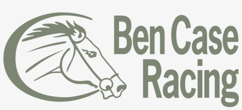 Race Horse Png, transparent png