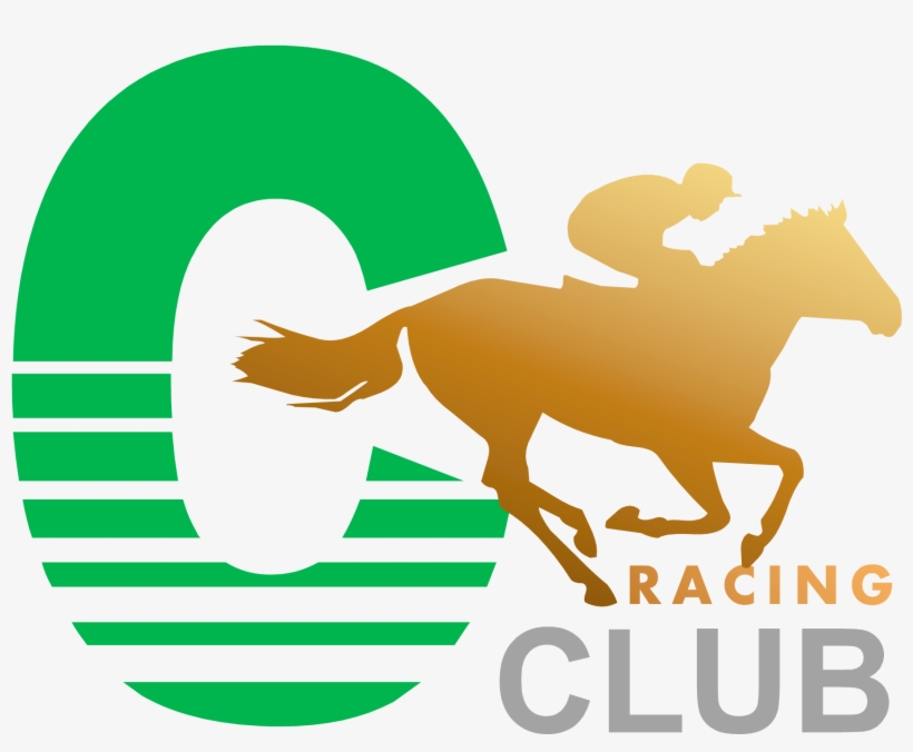 The Opportunity To Experience The Thrill Of Horse Racing - Shenzhen, transparent png