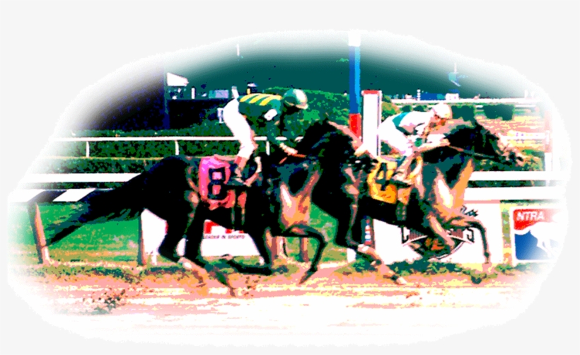Lauren Suran Race Horses - Jockey, transparent png