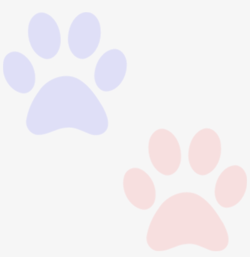 Background - Paw, transparent png