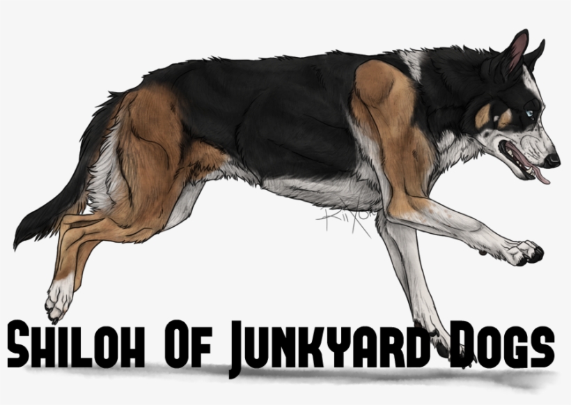 Panda Shepherd By Riixon-d6bhpfx - Panda German Shepherds, transparent png