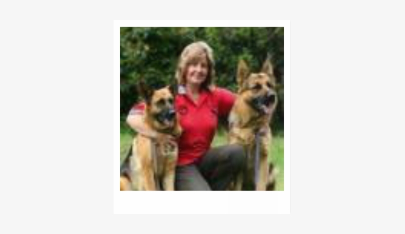 Welcome To Brayline German Shepherdswith Helen Squires - German Shepherd, transparent png