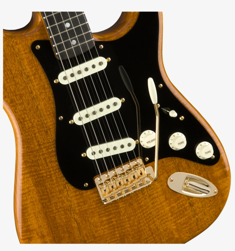 Fender Custom Shop 2018 Artisan Figured Mahogany Stratocaster - Player Stratocaster Plus Top, transparent png