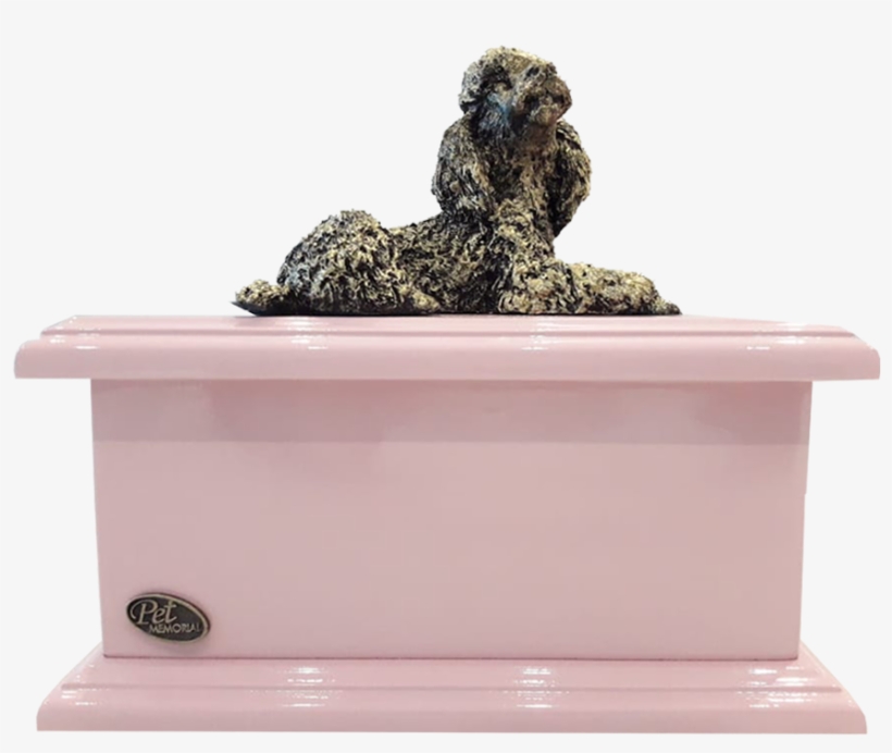 Urna Rosa Exclusiva, Patente Pet Memorial - Bust, transparent png