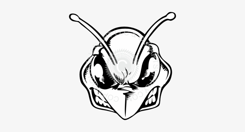 Bee Clipart Sketch - Angry Bee Head, transparent png