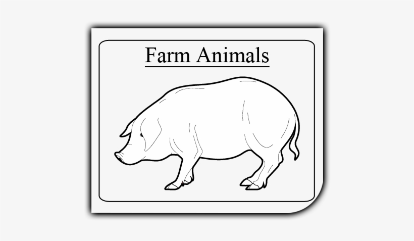 Printables, Worksheets, Coloring Pages, Lessons, Questions, - Teacher, transparent png