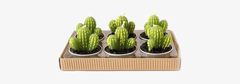 Itgirl Shop Mini Cactus Set 6 Candles Aesthetic Apparel, - Group Cute Cactus Shaped Green Cactus Mini Candles, transparent png