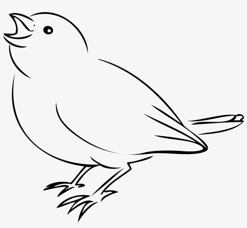Sparrow Png, transparent png