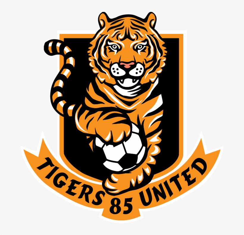 Princeton University Activities, transparent png