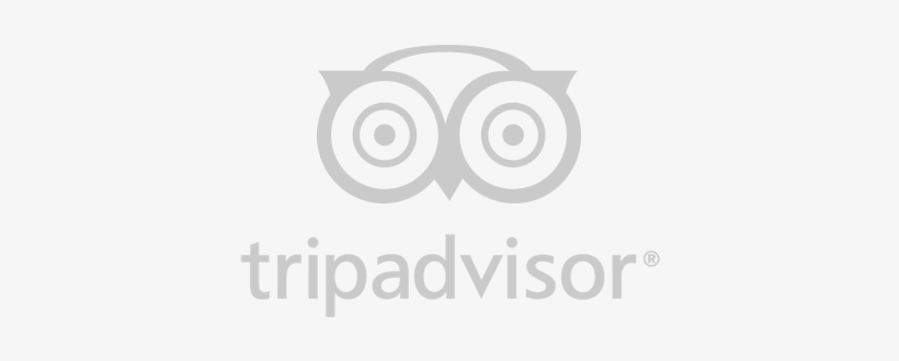 Trip Advisor Logo - Listerine Antiseptic Mouthwash, Cool Mint - 250 Ml, transparent png