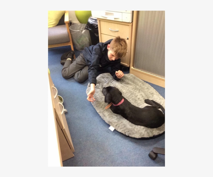 Poppy Has Now Been Coming To School For Over Half A - Primary Pupil Referral Service, transparent png