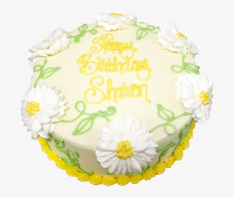 Image - Common Daisy, transparent png
