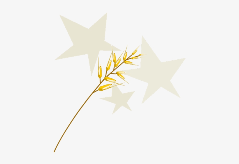 Magic Oats - Cereal, transparent png