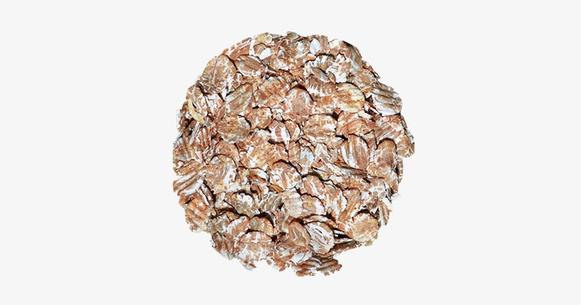 Oat, transparent png