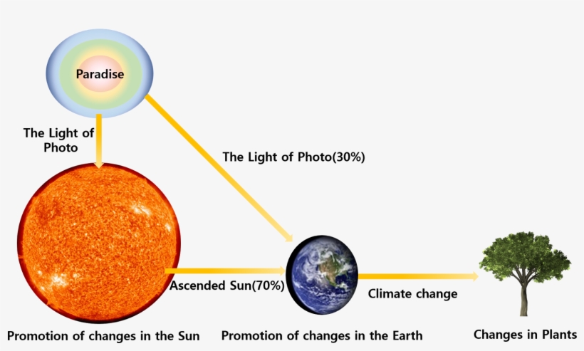 Because The Plants Don't Have The Matrix Structure - Photon Energy, transparent png